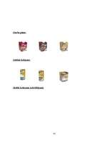 Referāts 'A/S "Rīgas Piena kombināts" preču izpēte', 45.