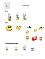 Referāts 'A/S "Rīgas Piena kombināts" preču izpēte', 51.