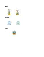 Referāts 'A/S "Rīgas Piena kombināts" preču izpēte', 52.