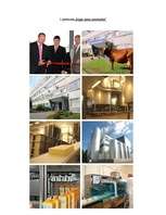 Referāts 'A/S "Rīgas Piena kombināts" preču izpēte', 53.