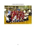 Referāts 'A/S "Rīgas Piena kombināts" preču izpēte', 54.