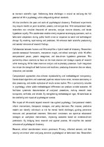 Eseja 'Computational Scientific Discovery in Psychology and the Role of AI', 5.