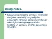 Prezentācija 'Kaulu un muskuļu sistēmas slimības', 28.