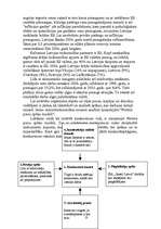 Referāts 'Mārketinga vides un stratēģijas analīze un darbības plānošana', 10.