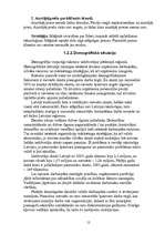 Referāts 'Mārketinga vides un stratēģijas analīze un darbības plānošana', 12.