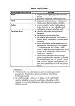 Referāts 'Mārketinga vides un stratēģijas analīze un darbības plānošana', 27.