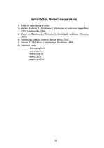 Referāts 'Mārketinga vides un stratēģijas analīze un darbības plānošana', 30.