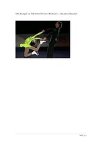 Referāts 'Daiļslidošana', 14.