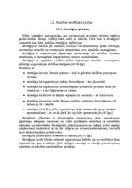 Diplomdarbs 'Stratēģijas izvēle un realizēšana uzņēmumā', 15.