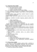 Diplomdarbs 'Stratēģijas izvēle un realizēšana uzņēmumā', 19.