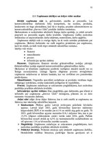 Diplomdarbs 'Stratēģijas izvēle un realizēšana uzņēmumā', 29.