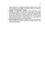 Diplomdarbs 'Stratēģijas izvēle un realizēšana uzņēmumā', 30.