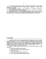 Biznesa plāns 'Biznesa plāns auto krāsošanas darbnīcai', 6.