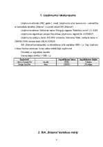 Biznesa plāns 'Biznesa plāns', 4.