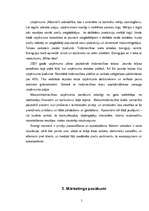 Biznesa plāns 'Biznesa plāns', 5.