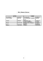 Biznesa plāns 'Biznesa plāns', 19.