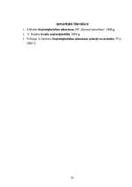 Biznesa plāns 'Biznesa plāns', 20.