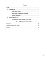 Referāts 'Angļu valodas loma un vieta pusaudžu ikdienā', 1.