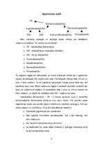 Referāts 'Uzņēmuma dibināšana', 3.