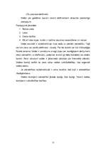 Referāts 'Uzņēmuma dibināšana', 12.