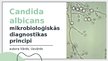 Prezentācija 'Candida albicans mikrobioloģiskās diagnostikas principi', 1.