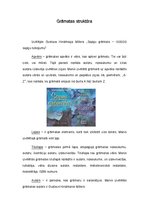 Eseja 'H.Millera grāmatas "Sapņu grāmata - 100000 sapņu tulkojumu" struktūras elementi ', 1.