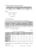 Referāts 'Viesu nama "Dadzīši" finanšu rādītāju analīze', 17.