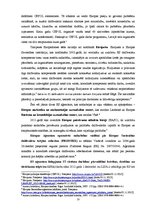 Referāts 'Tieslietu un iekšlietu iestāžu sadarbība Eiropas Savienībā, tiesiskie pamati', 13.