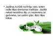 Prezentācija 'Japāna', 8.
