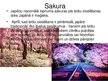 Prezentācija 'Japāna', 15.