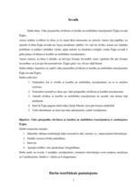 Referāts 'Vides pieejamība cilvēkiem ar kustību un mobilitātes traucējumiem', 5.