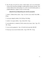 Referāts 'Telefona aparāts un tā komunikācijas vēsture', 11.