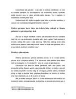 Konspekts 'Pārstāvība', 5.