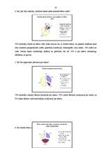 Diplomdarbs 'Literatūras nozīme radošās aktivitātes sekmēšanā bērniem', 39.