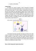 Diplomdarbs 'Literatūras nozīme radošās aktivitātes sekmēšanā bērniem', 45.