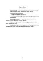 Biznesa plāns 'Biznesa plāns par ziedu salonu "Frezelle"', 3.