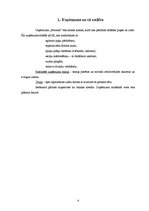 Biznesa plāns 'Biznesa plāns par ziedu salonu "Frezelle"', 4.