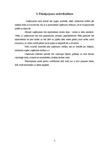 Biznesa plāns 'Biznesa plāns par ziedu salonu "Frezelle"', 6.