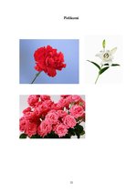 Biznesa plāns 'Biznesa plāns par ziedu salonu "Frezelle"', 12.