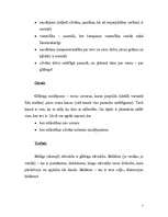 Referāts 'Sporta filosofija', 7.