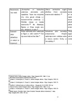 Konspekts 'Antīkā kultūra. Egejas civilizāciju perioda kultūras salīdzinājums', 11.