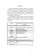 Konspekts 'Antīkā kultūra. Egejas civilizāciju perioda kultūras salīdzinājums', 12.