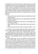 Diplomdarbs 'T/c "i" apģērbu veikala "A" reklāmas veida izvēle', 9.