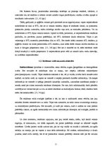 Diplomdarbs 'T/c "i" apģērbu veikala "A" reklāmas veida izvēle', 11.