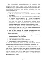 Diplomdarbs 'T/c "i" apģērbu veikala "A" reklāmas veida izvēle', 16.