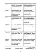 Diplomdarbs 'T/c "i" apģērbu veikala "A" reklāmas veida izvēle', 19.
