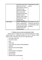 Diplomdarbs 'T/c "i" apģērbu veikala "A" reklāmas veida izvēle', 20.