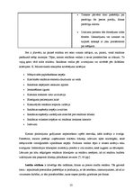 Diplomdarbs 'T/c "i" apģērbu veikala "A" reklāmas veida izvēle', 22.