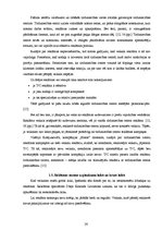 Diplomdarbs 'T/c "i" apģērbu veikala "A" reklāmas veida izvēle', 26.