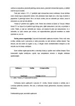 Diplomdarbs 'T/c "i" apģērbu veikala "A" reklāmas veida izvēle', 32.